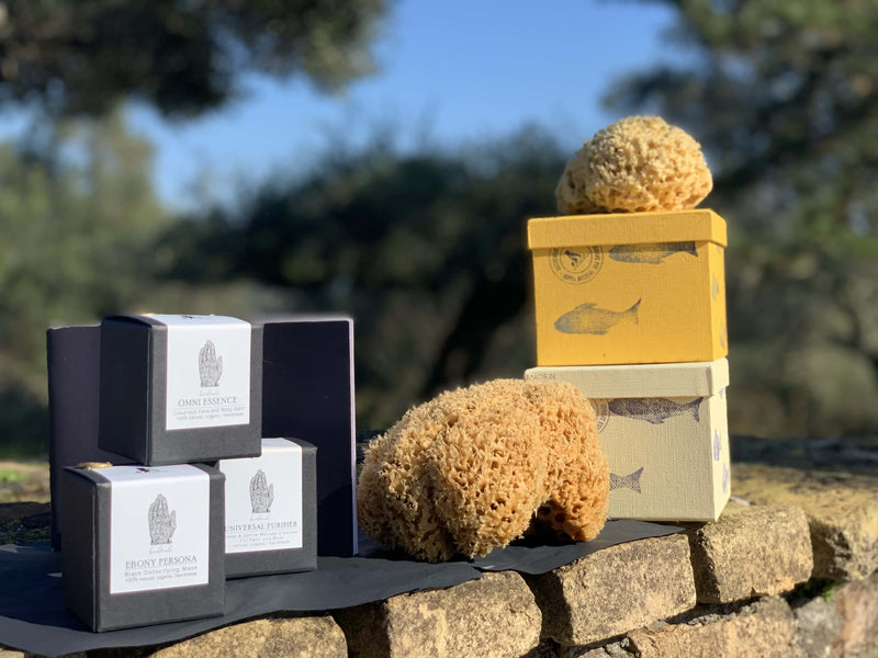 SFUNGA Organic Sea Sponge