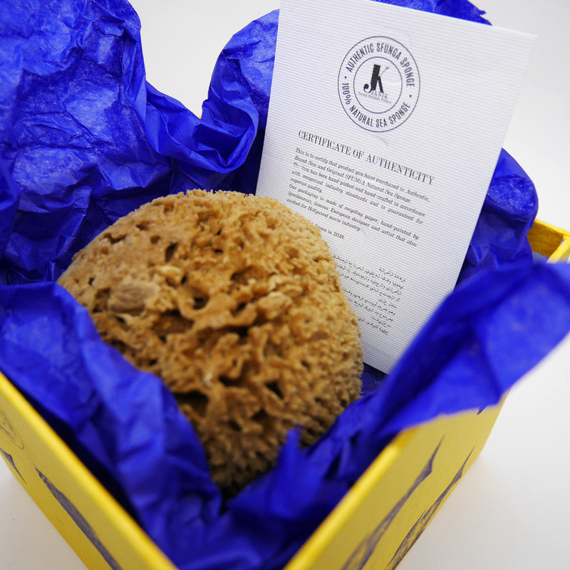 SFUNGA Organic Sea Sponge - Best organic cosmetics