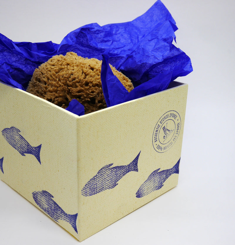 SFUNGA Organic Sea Sponge - Best organic cosmetics