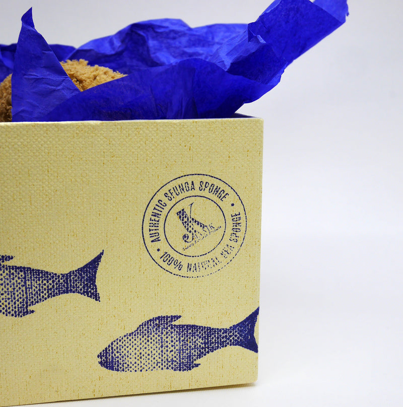 SFUNGA Organic Sea Sponge - Best organic cosmetics