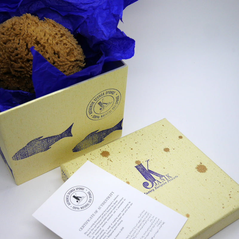 SFUNGA Organic Sea Sponge - Best organic cosmetics