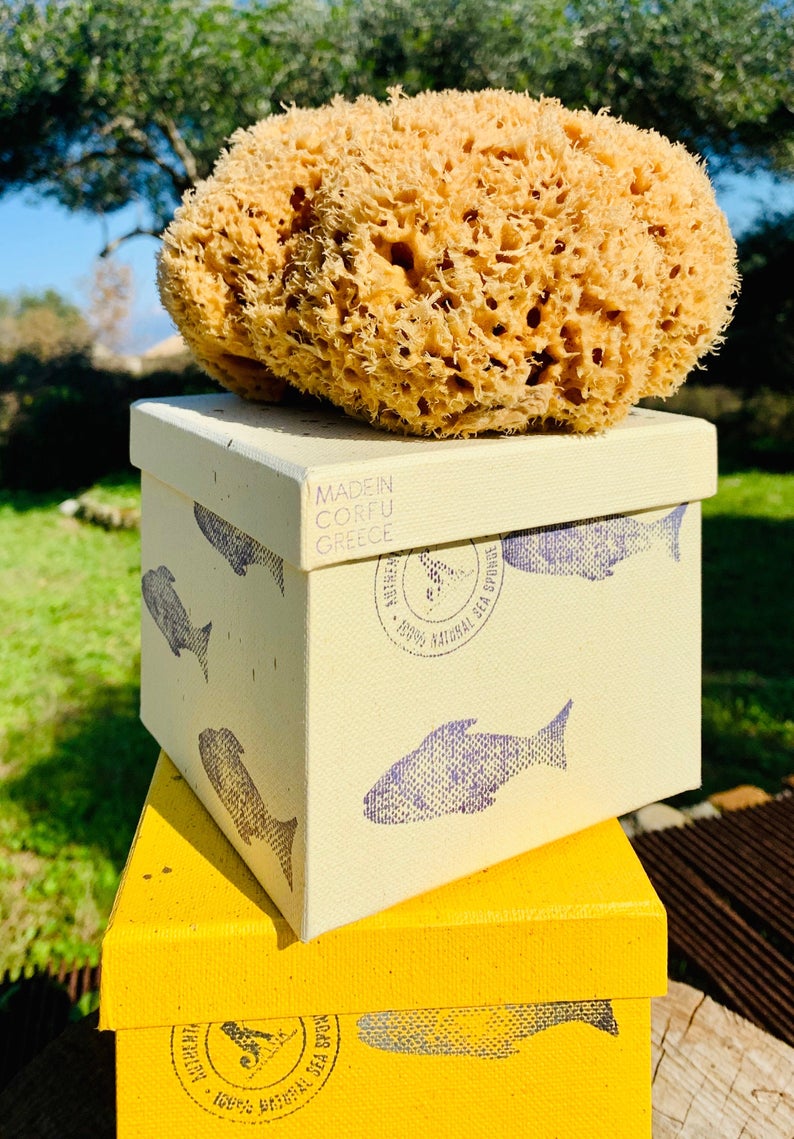 SFUNGA Organic Sea Sponge